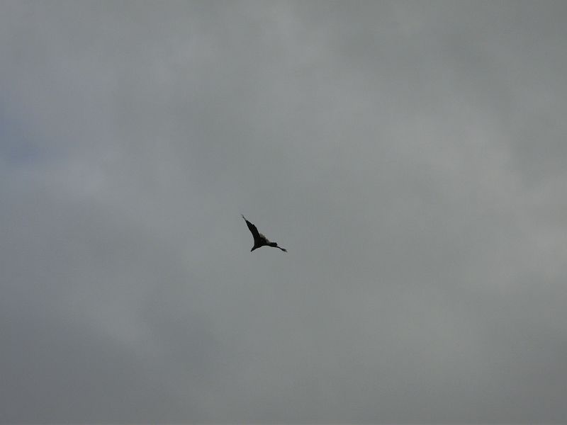 Nordkap 2009 410.jpg